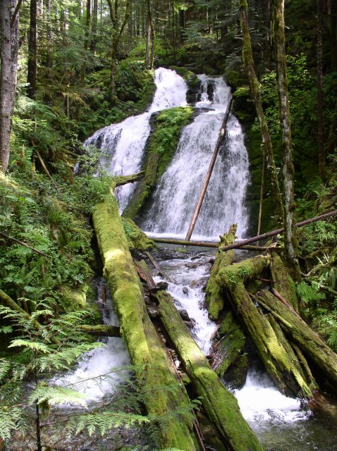 5.29.06 Siouxon Creek 022 